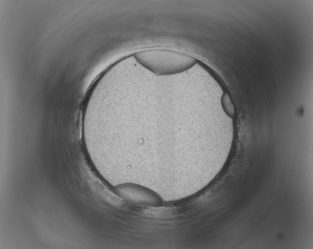 X0000115211510200912091146