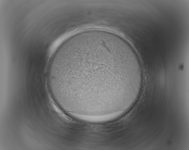 X0000115211511200912091146