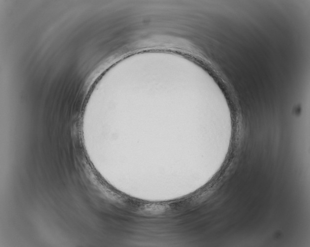 X0000115211513200912091146