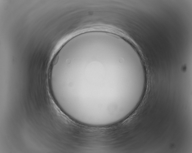 X0000115211514200912091146