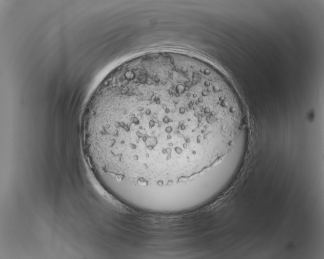 X0000115211515200912091146