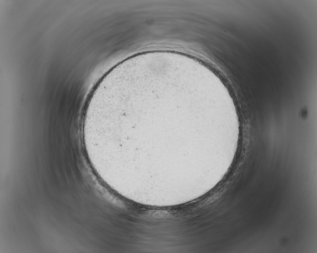 X0000115211517200912091146