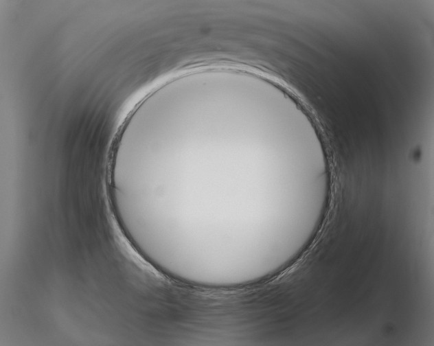 X0000115211518200912091146