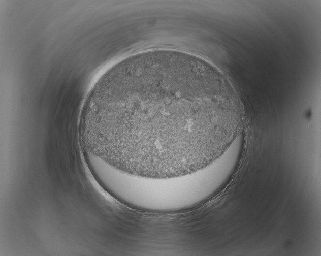 X0000115211519200912091146