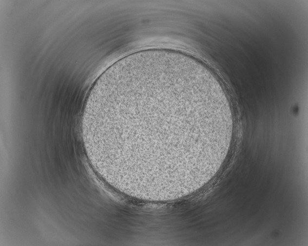 X0000115211521200912091146