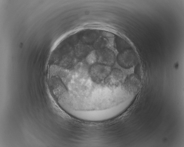 X0000115211522200912091146