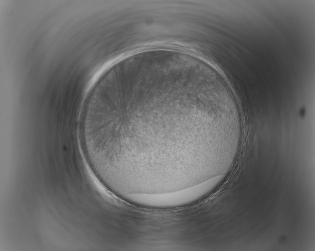 X0000115211523200912091146