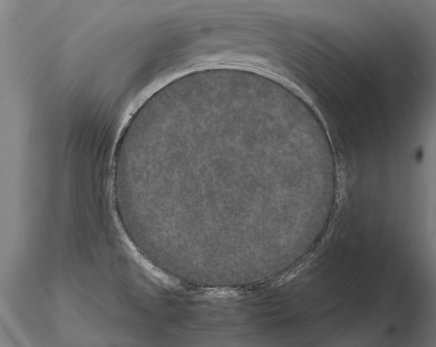 X0000115211525200912091146