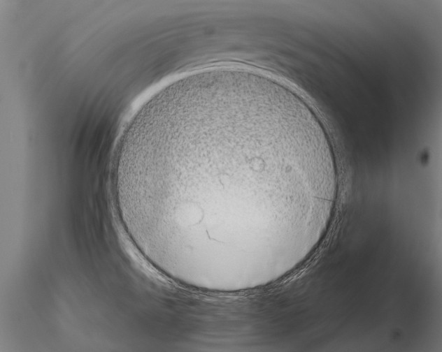 X0000115211526200912091146