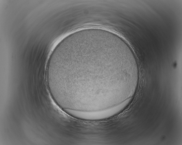 X0000115211527200912091146