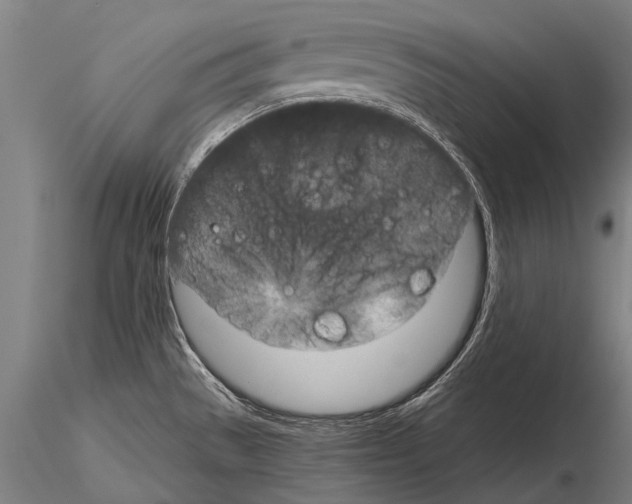 X0000115211529200912091146