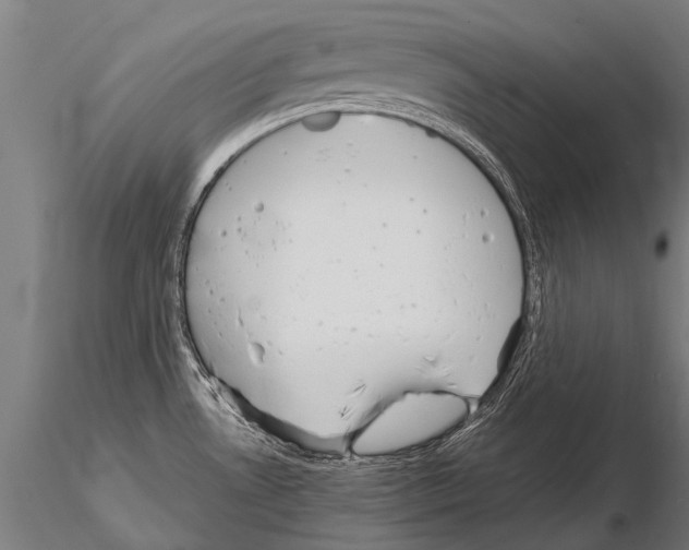 X0000115211530200912091146