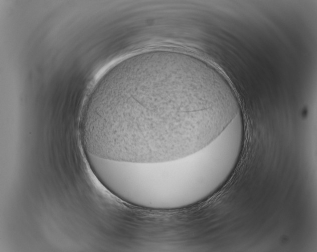 X0000115211531200912091146