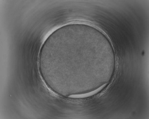 X0000115211533200912091146