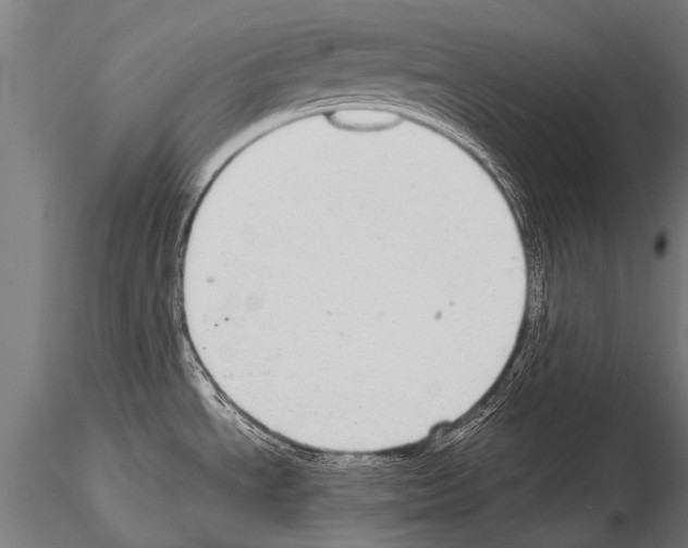 X0000115211534200912091146