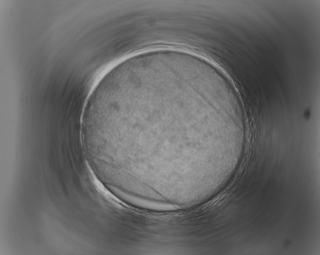 X0000115211535200912091146