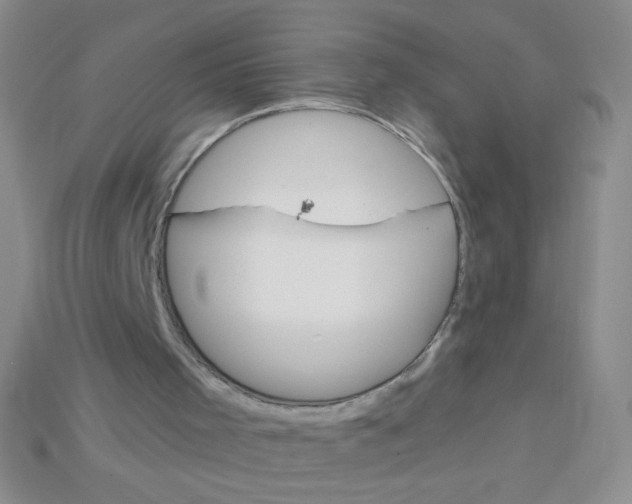 X0000115220001200911121934