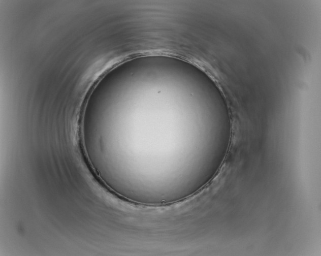 X0000115220002200911121934