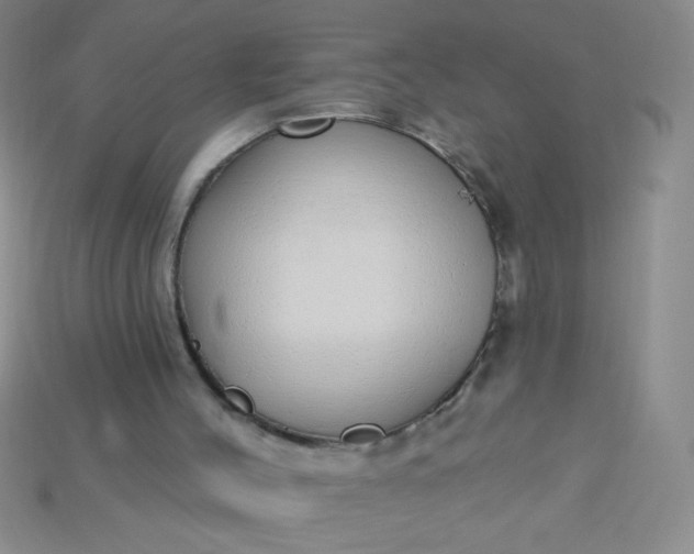 X0000115220004200911121934