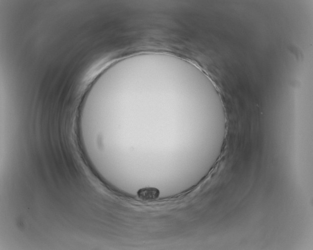 X0000115220005200911121934