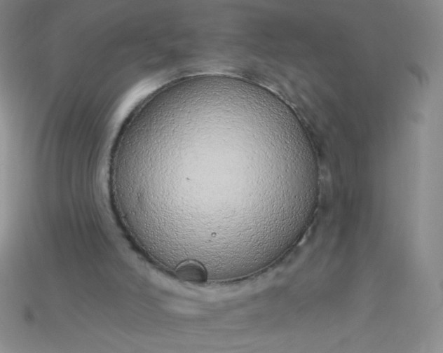 X0000115220006200911121934