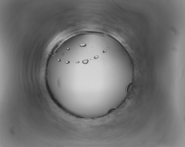 X0000115220007200911121934