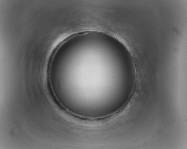 X0000115220008200911121934