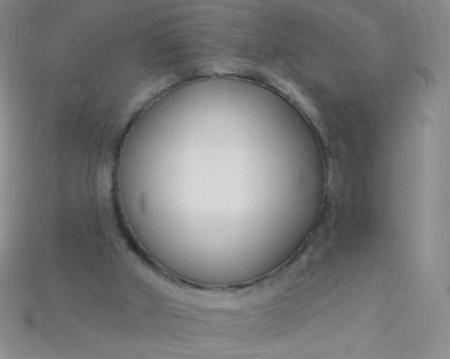 X0000115220010200911121934
