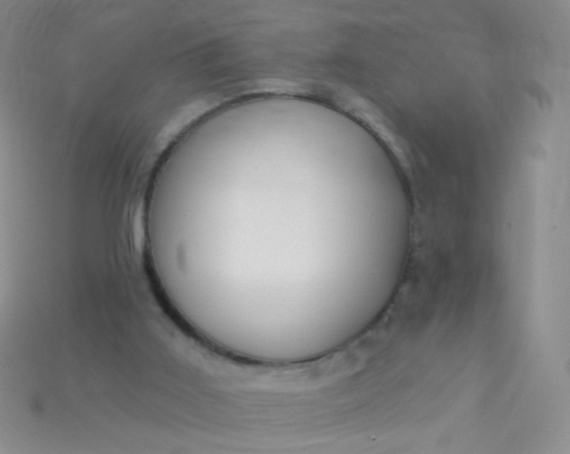 X0000115220011200911121934