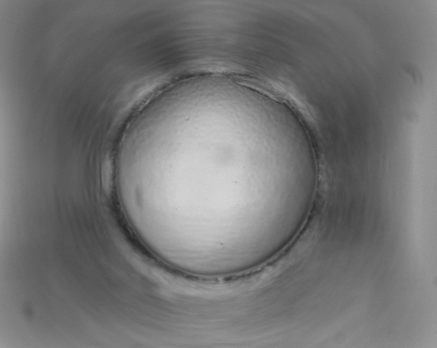 X0000115220014200911121934