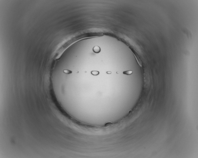 X0000115220015200911121934