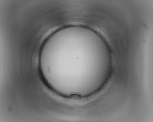 X0000115220016200911121934