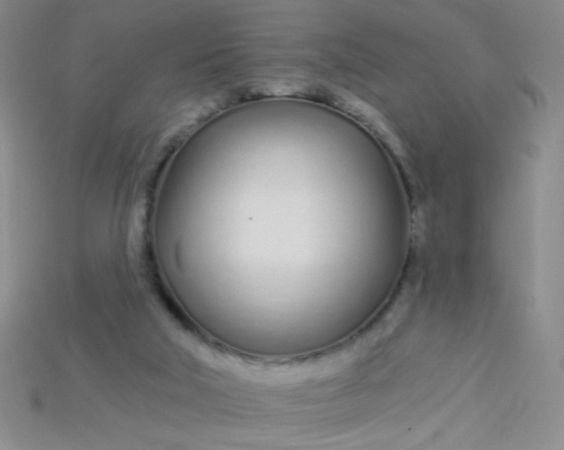 X0000115220018200911121934
