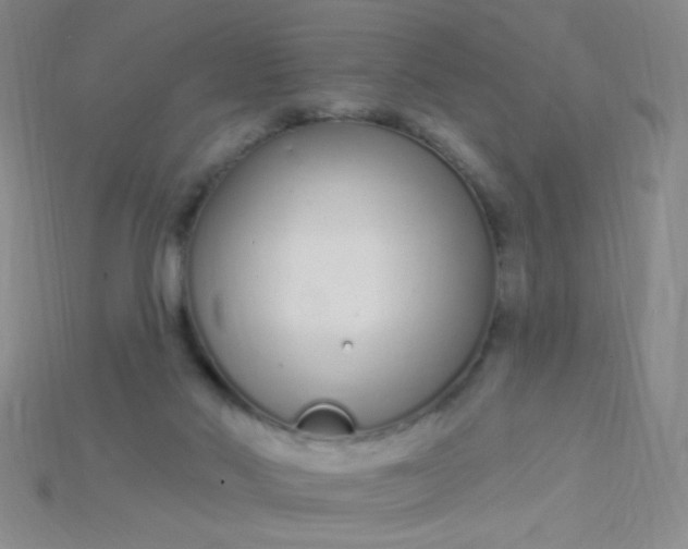 X0000115220022200911121934