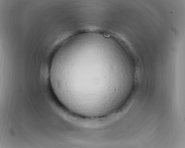 X0000115220024200911121934