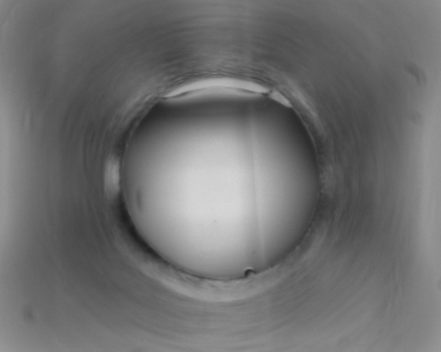 X0000115220027200911121934