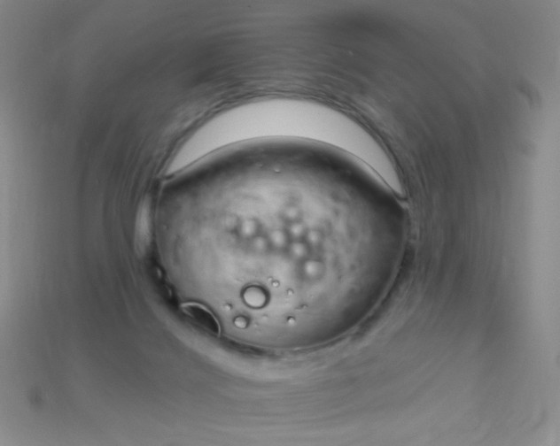 X0000115220028200911121934