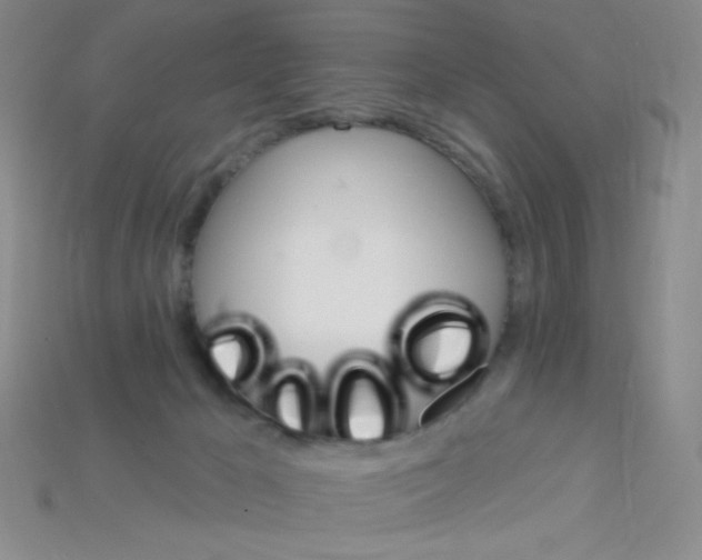 X0000115220029200911121934