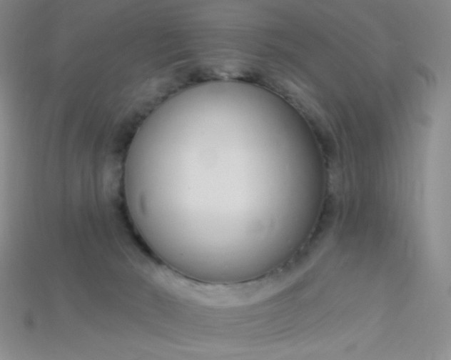 X0000115220030200911121933