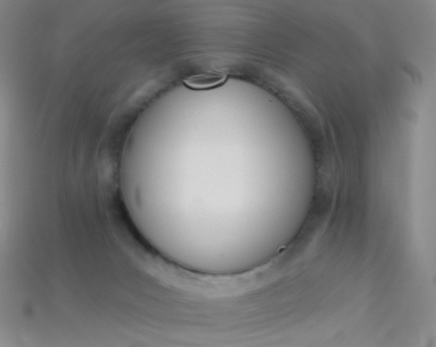 X0000115220031200911121933