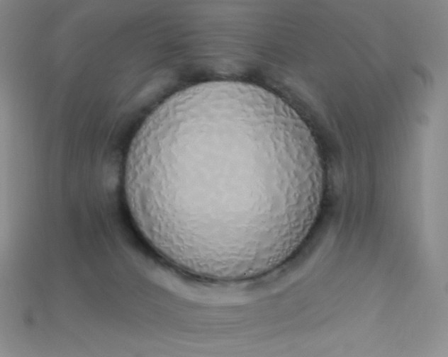 X0000115220032200911121933