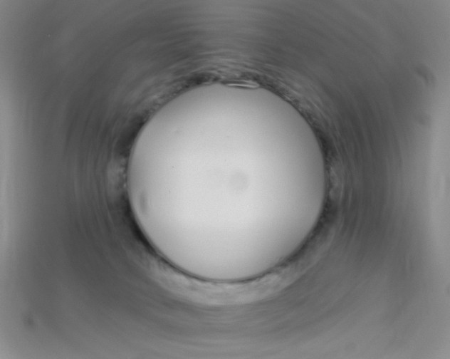 X0000115220034200911121933