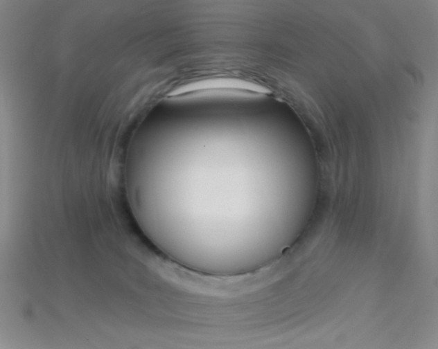 X0000115220035200911121933