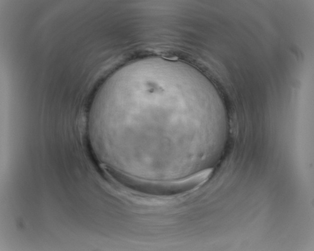 X0000115220036200911121933