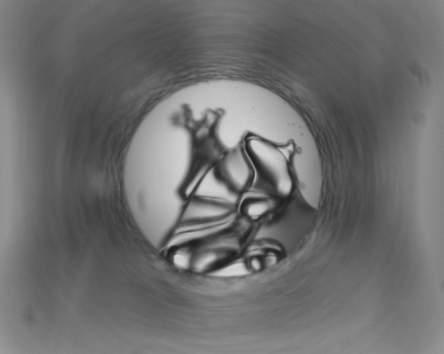 X0000115220037200911121933