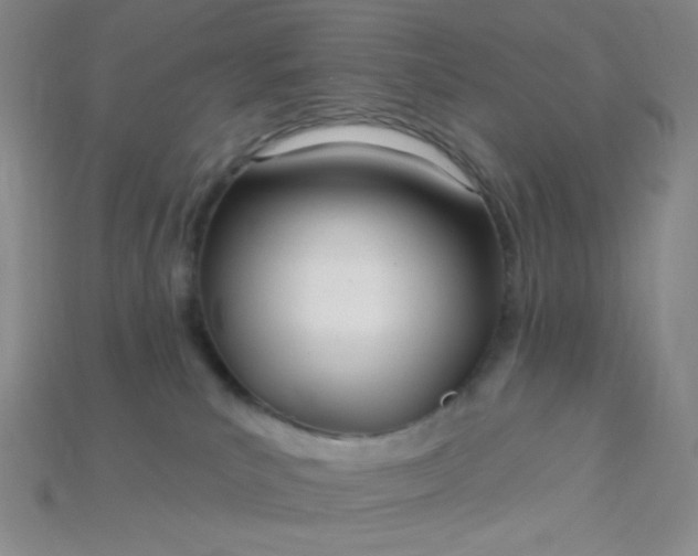 X0000115220039200911121933