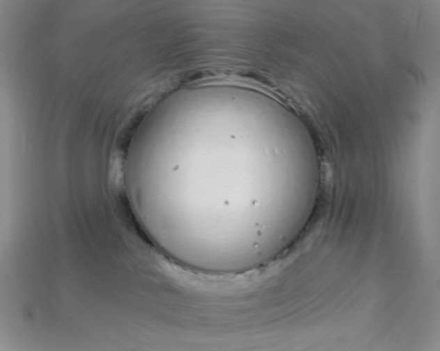 X0000115220042200911121933