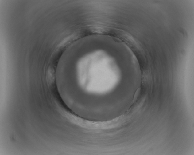 X0000115220043200911121933