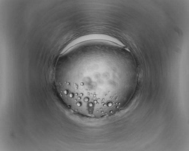 X0000115220044200911121933