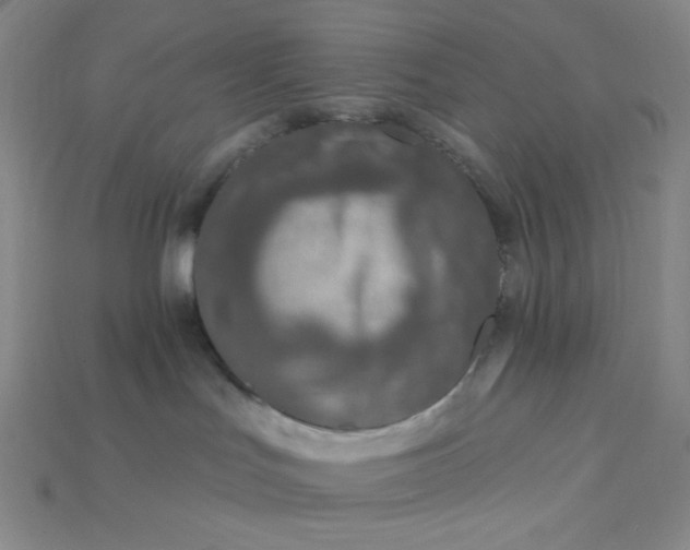 X0000115220047200911121933